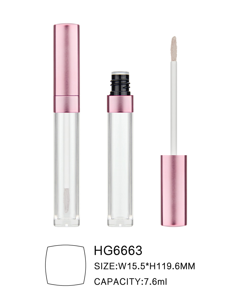 HG6663